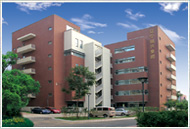 ���������˿�ó���޹�˾